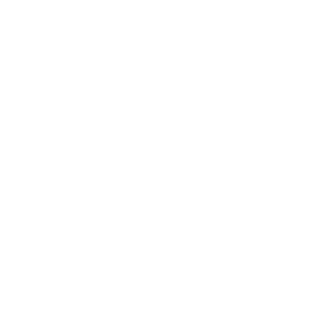 logo belmo